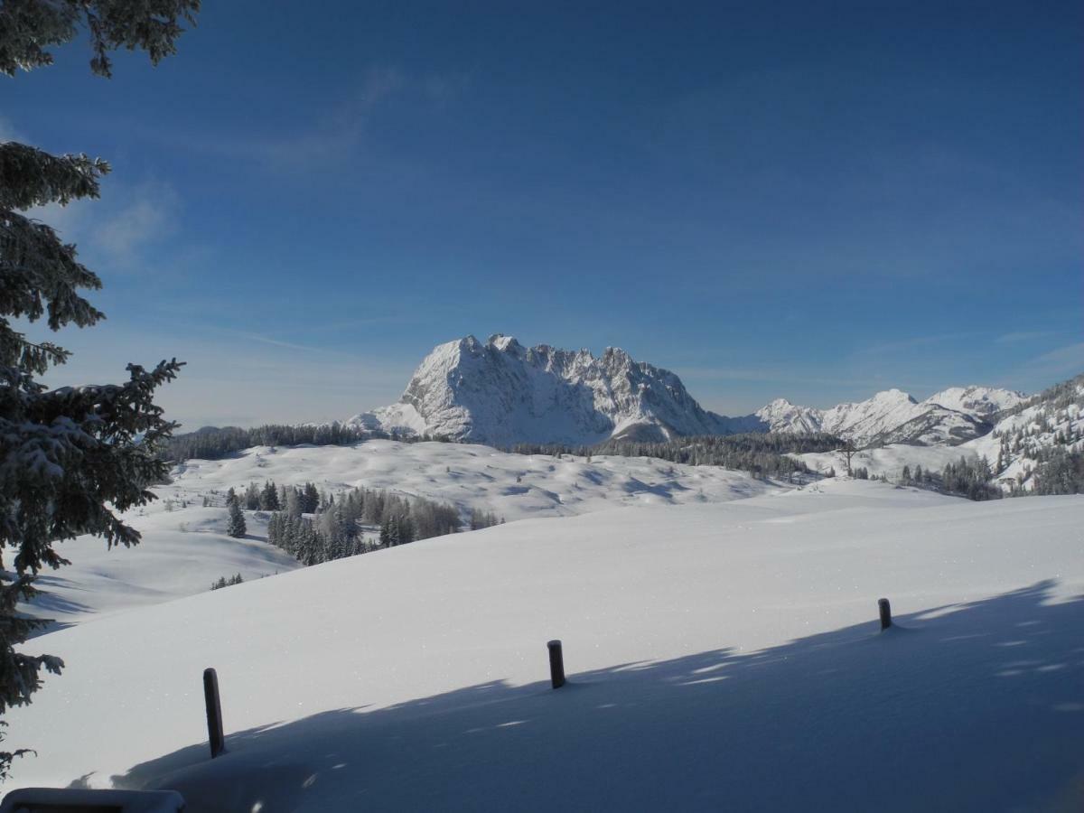 Pure Mountain Base Appartement Erpfendorf Buitenkant foto