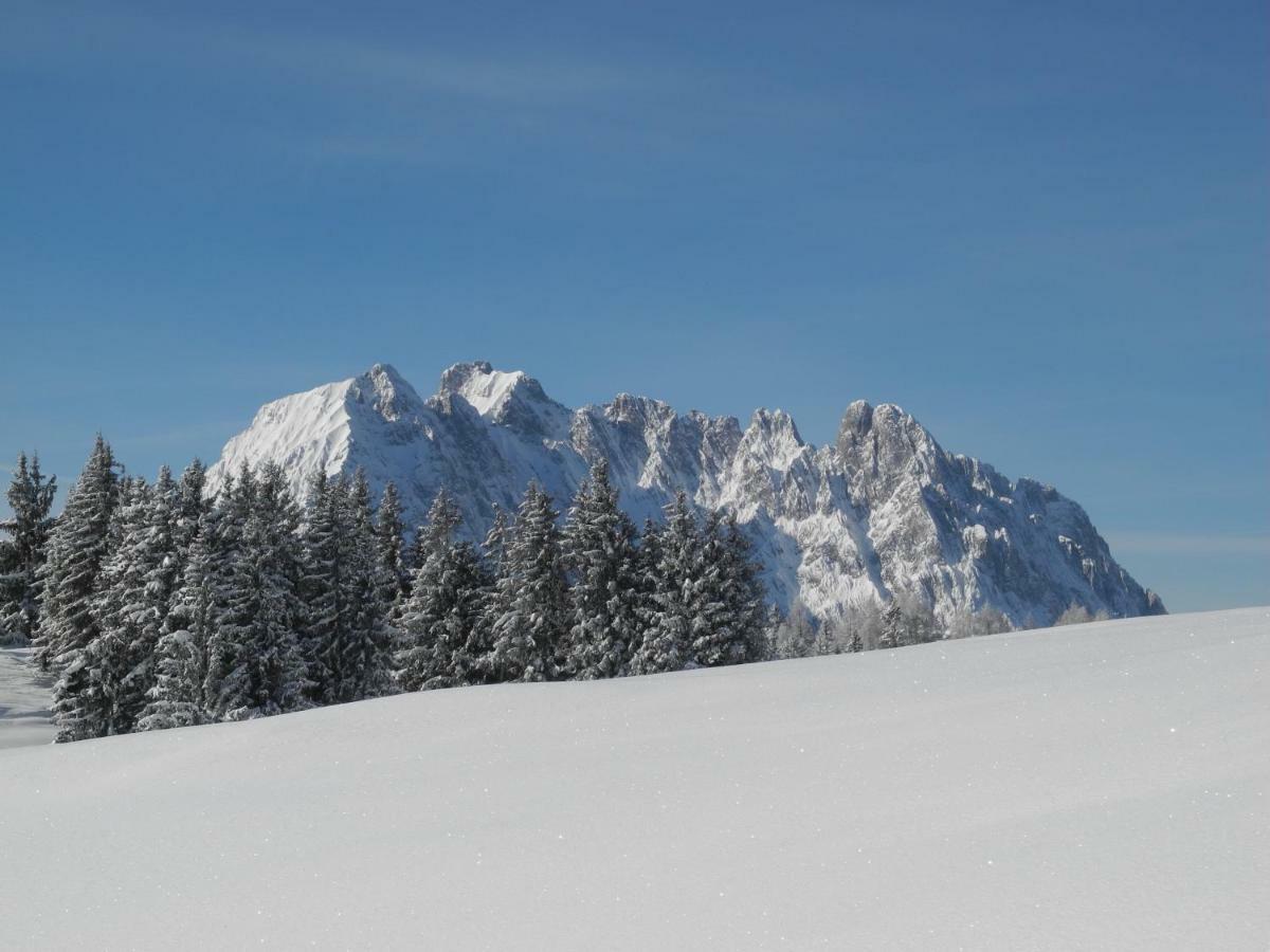 Pure Mountain Base Appartement Erpfendorf Buitenkant foto
